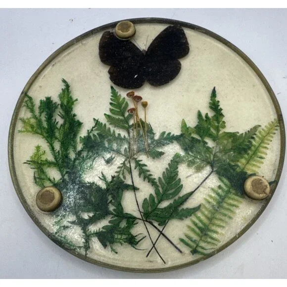 Vintage Lucite 7.75” Butterfly & Ferns Leaves Round Trivet hot plate - Picture 5 of 5